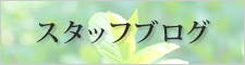 スタッフブログ