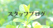 スタッフブログ